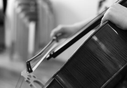 Violoncello
